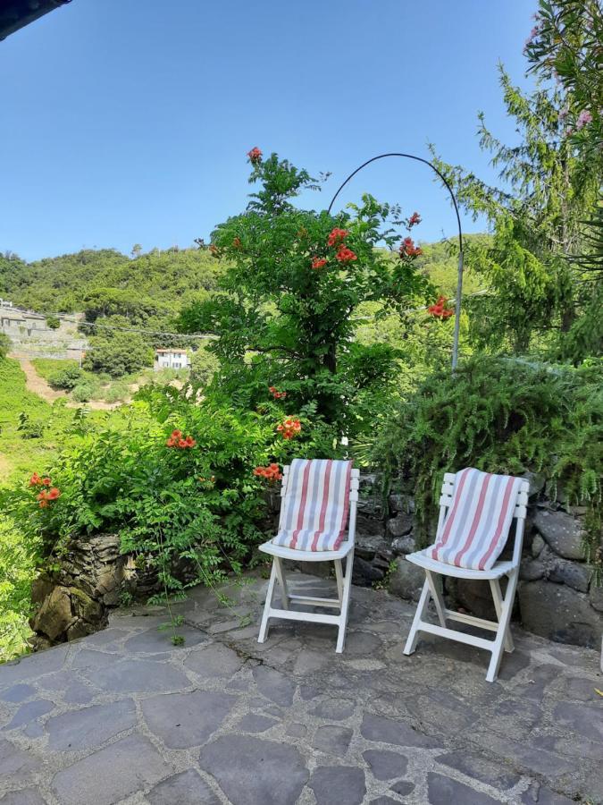 Ca Gialla De Drignana Vernazza Kültér fotó