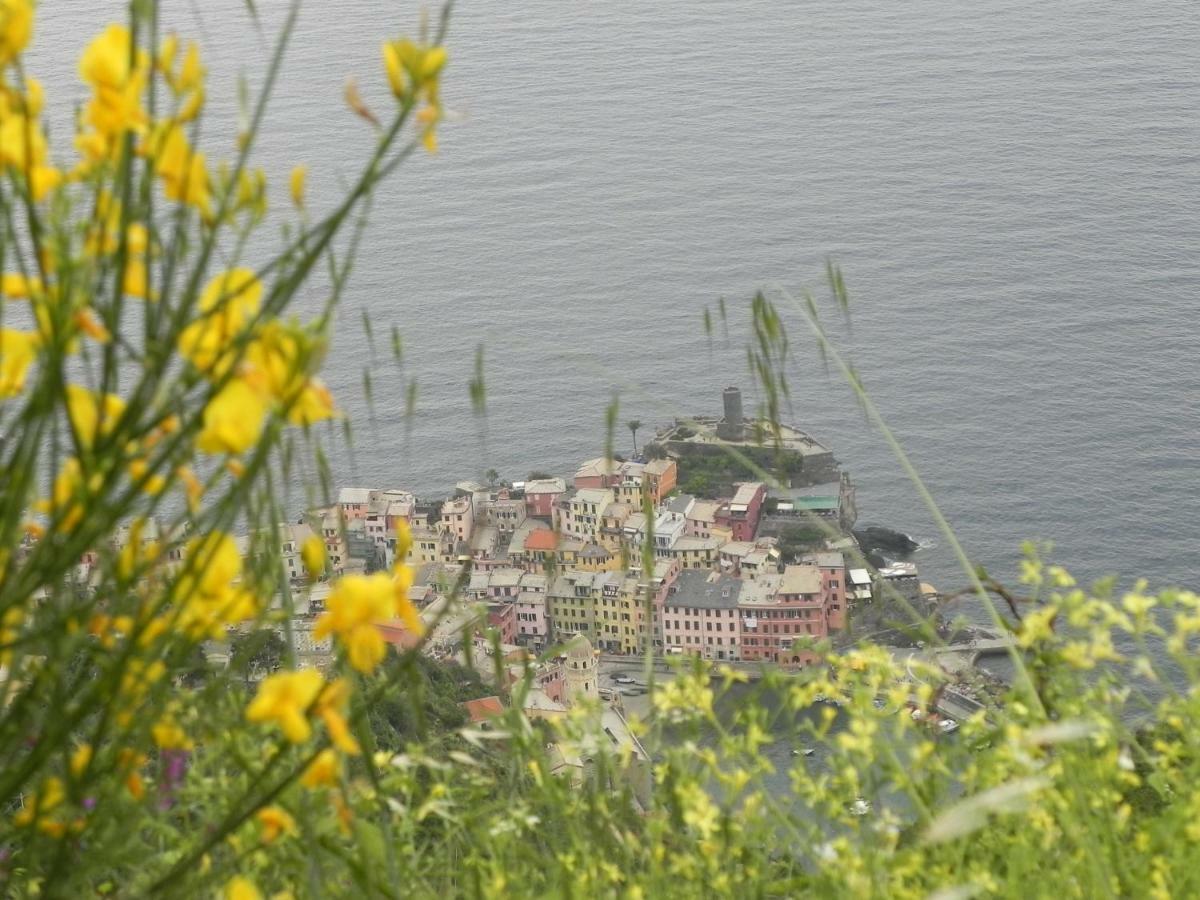 Ca Gialla De Drignana Vernazza Kültér fotó