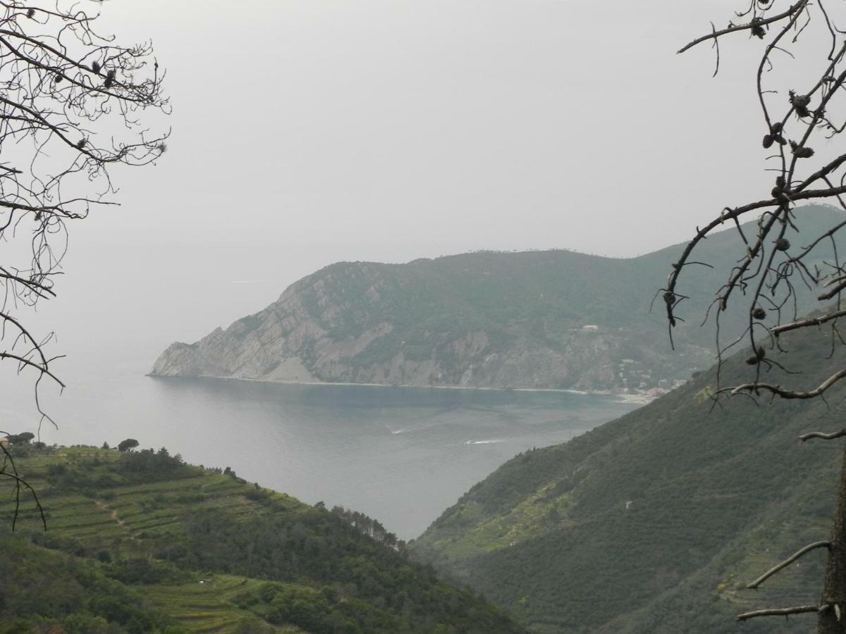 Ca Gialla De Drignana Vernazza Kültér fotó