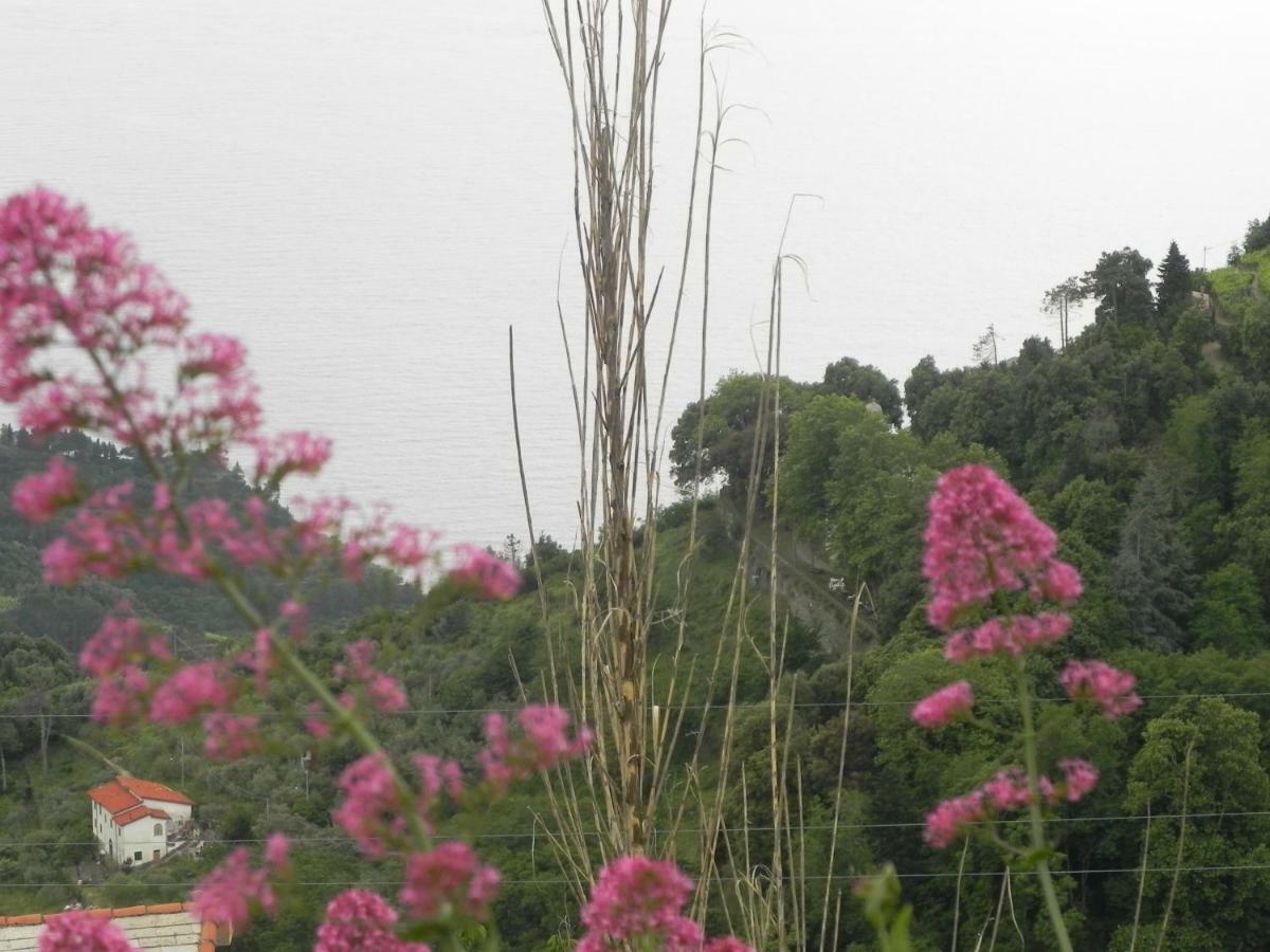 Ca Gialla De Drignana Vernazza Kültér fotó